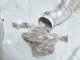 How to Clean a Dryer Vent in 5 Simple Steps