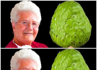 The Secret Elixir: A Centenarian’s Daily Ritual for Timeless Vitality