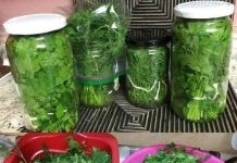 Let’s Keep Your Parsley Fresh!