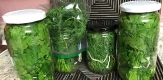 Let’s Keep Your Parsley Fresh!