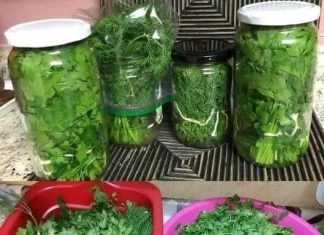 Let’s Keep Your Parsley Fresh!