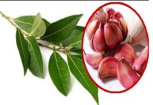 Mix 7 Cloves of Garlic and 7 Bay Leaves to Drive Bad Vibes Out of Your Home