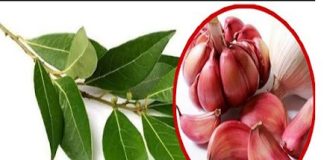 Mix 7 Cloves of Garlic and 7 Bay Leaves to Drive Bad Vibes Out of Your Home