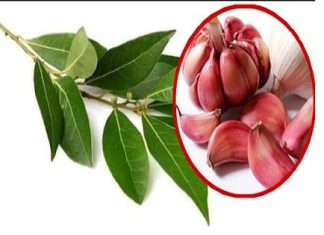 Mix 7 Cloves of Garlic and 7 Bay Leaves to Drive Bad Vibes Out of Your Home