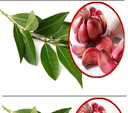 Mix 7 Cloves of Garlic and 7 Bay Leaves to Drive Bad Vibes Out of Your Home