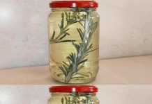 ROSEMARY, DIP IT IN A JAR FULL OF WHITE WINE: HERE’S WHY