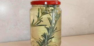 ROSEMARY, DIP IT IN A JAR FULL OF WHITE WINE: HERE’S WHY