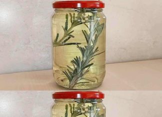 ROSEMARY, DIP IT IN A JAR FULL OF WHITE WINE: HERE’S WHY