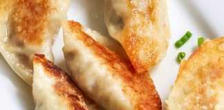 GYOZA (JAPANESE DUMPLINGS)