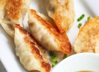 GYOZA (JAPANESE DUMPLINGS)