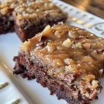 GERMAN CHOCOLATE SHEET CAKE