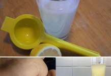 A Flavorful Quest to Trim Your Waistline