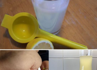 A Flavorful Quest to Trim Your Waistline