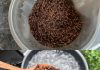 The Wonders of Clove Tea: A Warm Embrace for Your Well-being