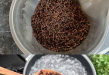 The Wonders of Clove Tea: A Warm Embrace for Your Well-being