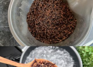 The Wonders of Clove Tea: A Warm Embrace for Your Well-being