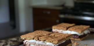 The Ultimate S’mores Ice Cream Sandwiches You Need to Try!