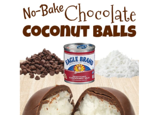 Chocolate Coconut Balls {5-ingredients}