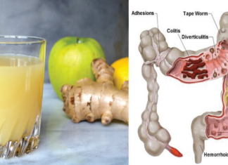How Apple, Ginger & Lemon Can Flush Pounds of Toxins To Your Body