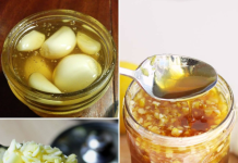 Homemade Garlic Cough Syrup: A Natural Remedy to Cleanse Your Lungs 