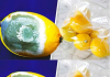 How to Store Lemons Longer to Prevent Them from Spoiling? 4 Simple Tricks