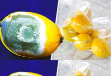 How to Store Lemons Longer to Prevent Them from Spoiling? 4 Simple Tricks