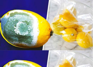 How to Store Lemons Longer to Prevent Them from Spoiling? 4 Simple Tricks