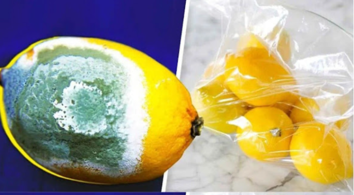 How to Store Lemons Longer to Prevent Them from Spoiling? 4 Simple Tricks