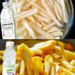 The Vinegar Tip for Making Crispy Fries
