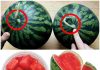 How to Pick a Perfectly Sweet Watermelon: Easy Tips at a Glance 