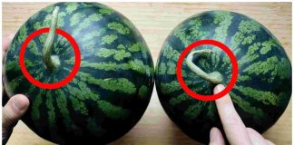 How to Pick a Perfectly Sweet Watermelon: Easy Tips at a Glance 