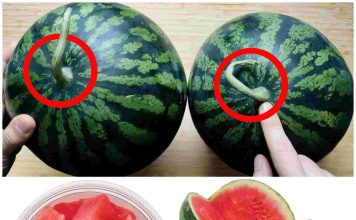 How to Pick a Perfectly Sweet Watermelon: Easy Tips at a Glance 