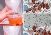 A Powerful Home Recipe To Get Rid Of Mosquitoes And Cockroaches Forever