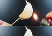Burning A Clove Of Garlic, What Happens After 15 Minutes At Home