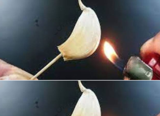 Burning A Clove Of Garlic, What Happens After 15 Minutes At Home