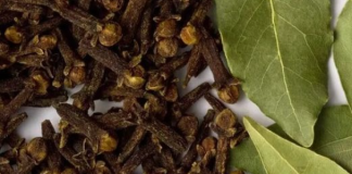 The Miracle of Bay Leaf Will Make Your Stomach Flat, Your Hair Thick, Your Face Bright