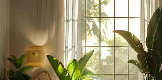 Natural Remedies for Reducing Household Allergens