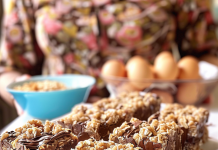 Crave-Worthy Treats: No-Bake Chocolate Oat Bars – Ready in Minutes!