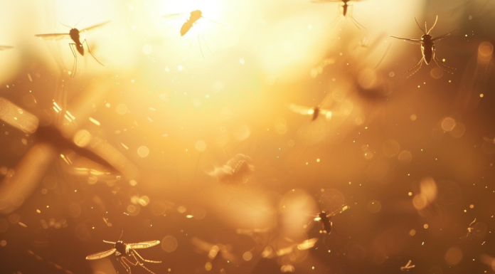 How to Naturally Repel Flies and Mosquitoes