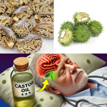 Castor Oil: Uncover Its Revolutionary Benefits in As Little as a Week