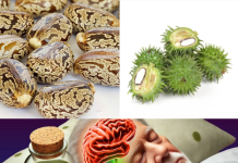 Castor Oil: Uncover Its Revolutionary Benefits in As Little as a Week