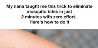 Did you know about this? Wow, I learned something new!