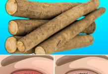 Nurturing Your Eyes Naturally: A Botanical Journey to Optimal Vision