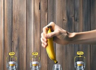 Banana peels should never be thrown away; instead, they should be placed in a bottle of water and used in this manner at all times.