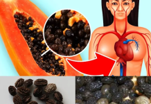 Exploring the Health Benefits and Risks of Eating Papaya Seeds