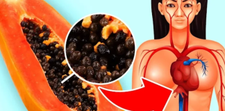 Exploring the Health Benefits and Risks of Eating Papaya Seeds