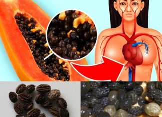 Exploring the Health Benefits and Risks of Eating Papaya Seeds