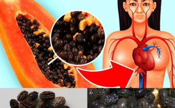 Exploring the Health Benefits and Risks of Eating Papaya Seeds