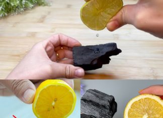 Mix Charcoal with Lemon and See What Happens