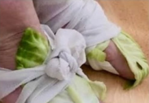 The Healing Power of Cabbage Wraps: A Natural Remedy for Swollen Joints and Thyroid Issues